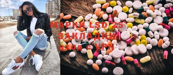 прущие грибы Алзамай