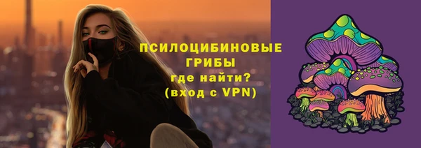 прущие грибы Алзамай