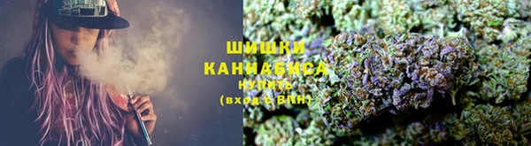 прущие грибы Алзамай