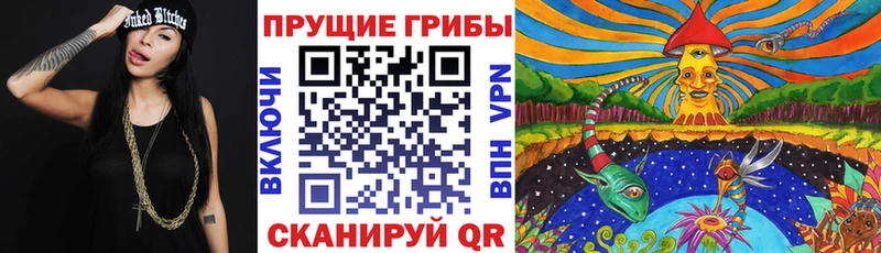 OMG онион  Грязовец  Псилоцибиновые грибы мухоморы 